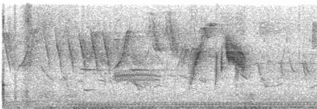 Ивовый мухолов - ML619477702