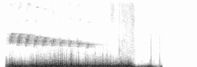 Ширококрылая кукушка - ML619477951