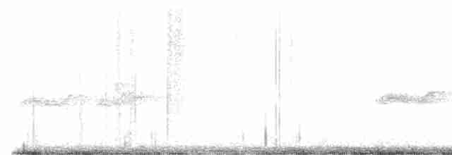 Ширококрылая кукушка - ML619477952