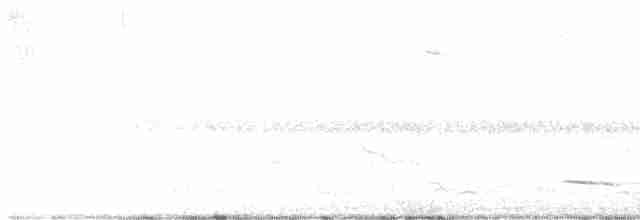 Перепелиця віргінська - ML619478201
