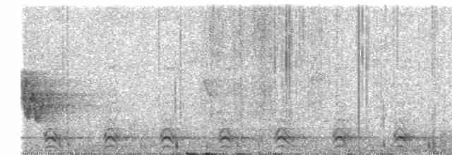 Аспиднохвостый трогон - ML619478301