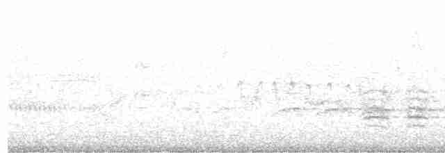 Rotbrustkleiber - ML619478524