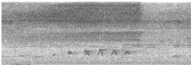 Зозуля короткокрила - ML619478651