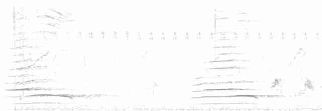 páv korunkatý - ML619478672