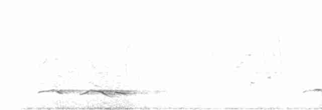 Зозуля білогорла - ML619478838