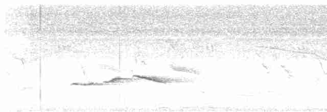 Пестрокрылая йора - ML619479298