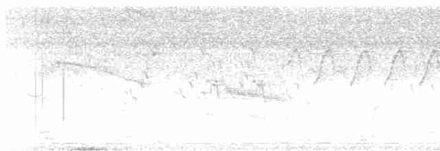 Пестрокрылая йора - ML619479302