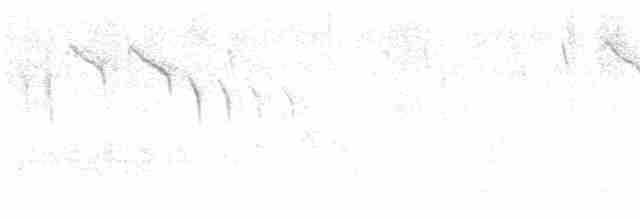 sýkora modřinka - ML619479342