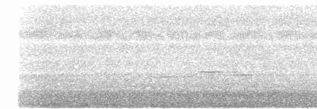 hvitbrystfulvetta - ML619479359