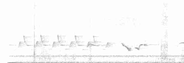 Піранга пломениста - ML619479601