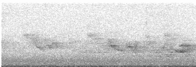 Дрізд-короткодзьоб бурий - ML619479613