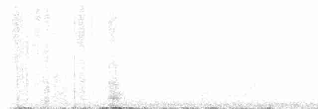Сова плямиста (підвид lucida) - ML619479617