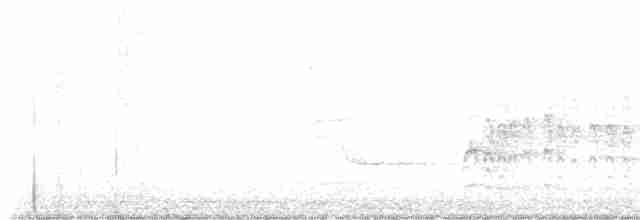Дрізд-короткодзьоб Cвенсона - ML619479672