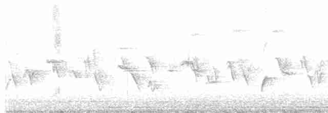 Дрізд-короткодзьоб Cвенсона - ML619479674