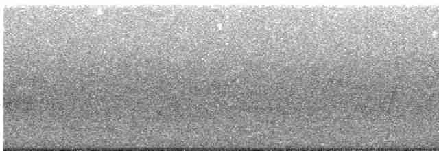 Дроздовый певун - ML619479725