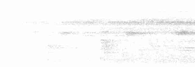 Тріскопліт рудолобий (підвид salvini) - ML619479863