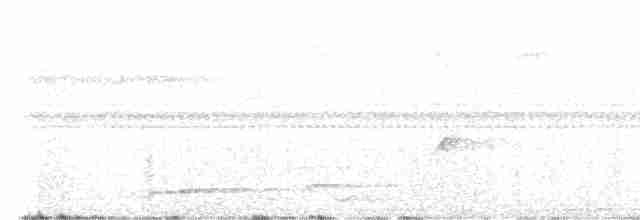 Поплітник білогорлий - ML619479983