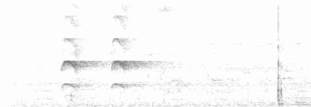 ostříž netopýří - ML619479987
