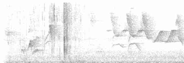 drozdec černohlavý - ML619480162