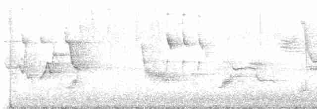 drozdec černohlavý - ML619480277