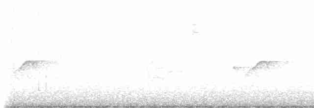 Sarı Karınlı Boreal Sinekkapan - ML619480315