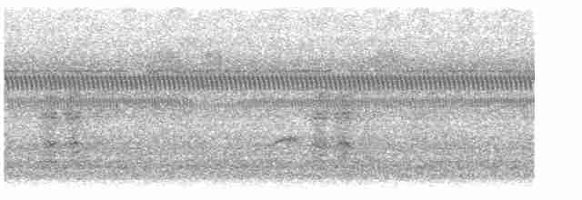 Дрізд-короткодзьоб Cвенсона - ML619480324