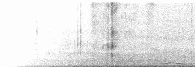 Alción de Esmirna - ML619480387