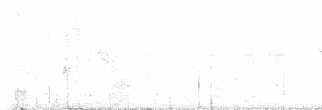 Tannenschnäppertyrann - ML619480452