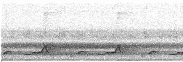 Schwarzkehl-Nachtschwalbe - ML619480516