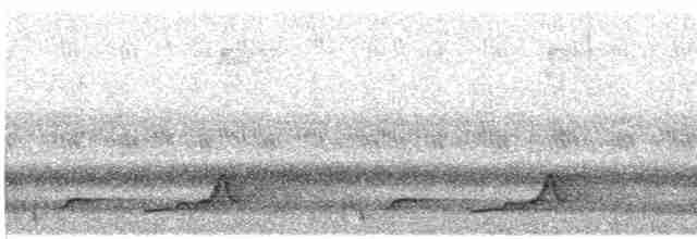 Schwarzkehl-Nachtschwalbe - ML619480517