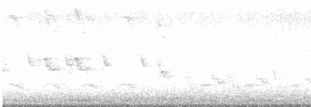 Тремблер прямодзьобий - ML619480526