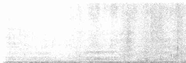 Кропив’янка чорноголова - ML619480579