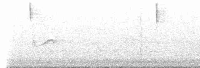Sarı Karınlı Boreal Sinekkapan - ML619480681
