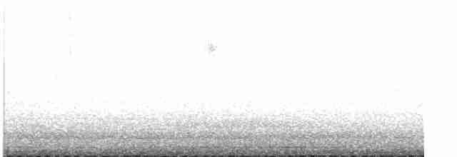 Малая вильсония - ML619481114