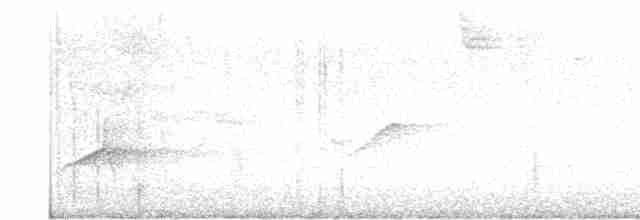 Sarı Karınlı Boreal Sinekkapan - ML619481581