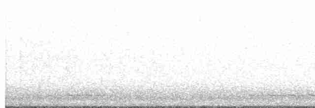 Black-billed Cuckoo - ML619481605