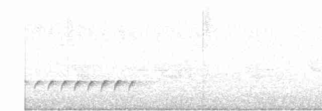 Paruline à calotte noire - ML619481694