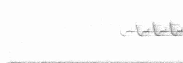 Paruline à croupion jaune - ML619481741