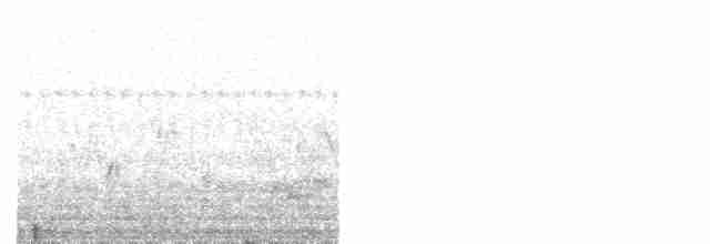 Eastern Orphean Warbler - ML619481742