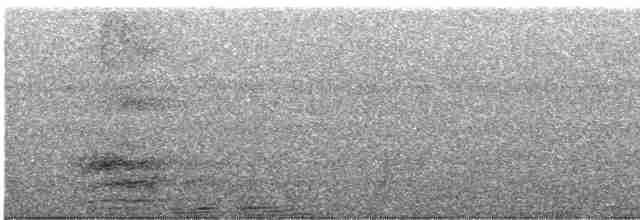 Андский скальный петушок - ML619482004