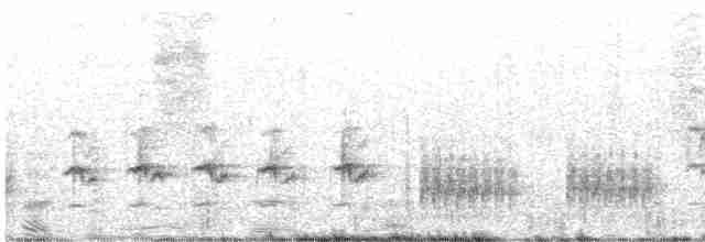 Great Reed Warbler - ML619482170