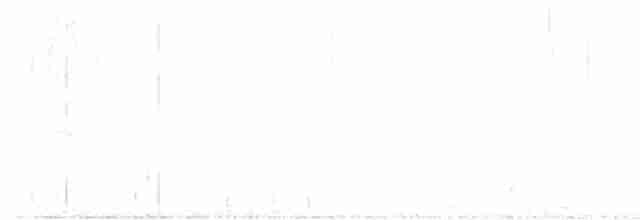 Weißmantelspecht - ML619482468