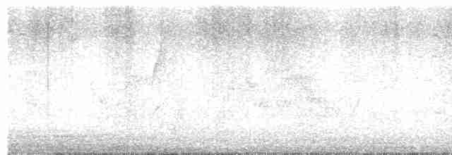 Paruline à gorge grise - ML619482780
