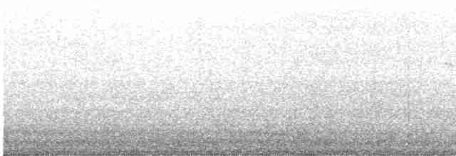Paruline à calotte noire (pusilla) - ML619482886