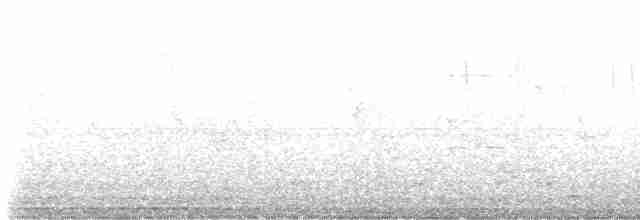 Paruline à calotte noire (pusilla) - ML619482894
