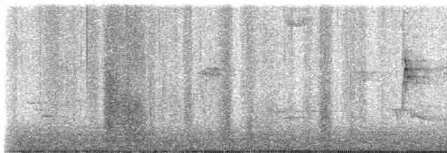 גיבתונית לבנת-גרון - ML619482935