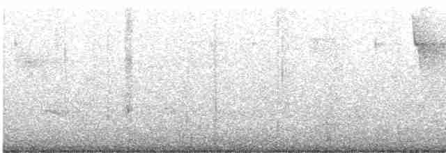 Gri Yanaklı Bülbül Ardıcı - ML619483423
