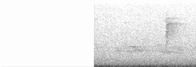 Черногорлая хвойница - ML619483430