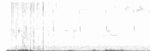 svarthetteparula - ML619483771