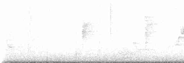 Черногорлая хвойница - ML619484221
